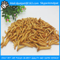 High Nutrition Wholesale Bulk Mealworms para pollo